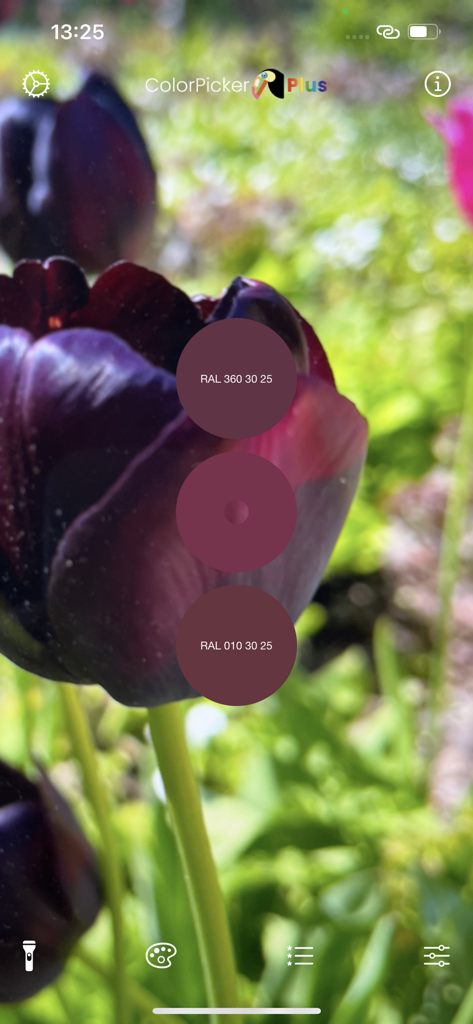 ColorPicker Plus - ColorPicker Plusアプリのインターフェースが、暗い紫の花をスキャンして一致するRALカラーコードを識別しています