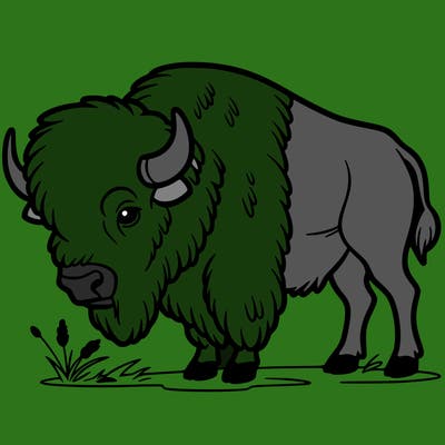 bison, thin line