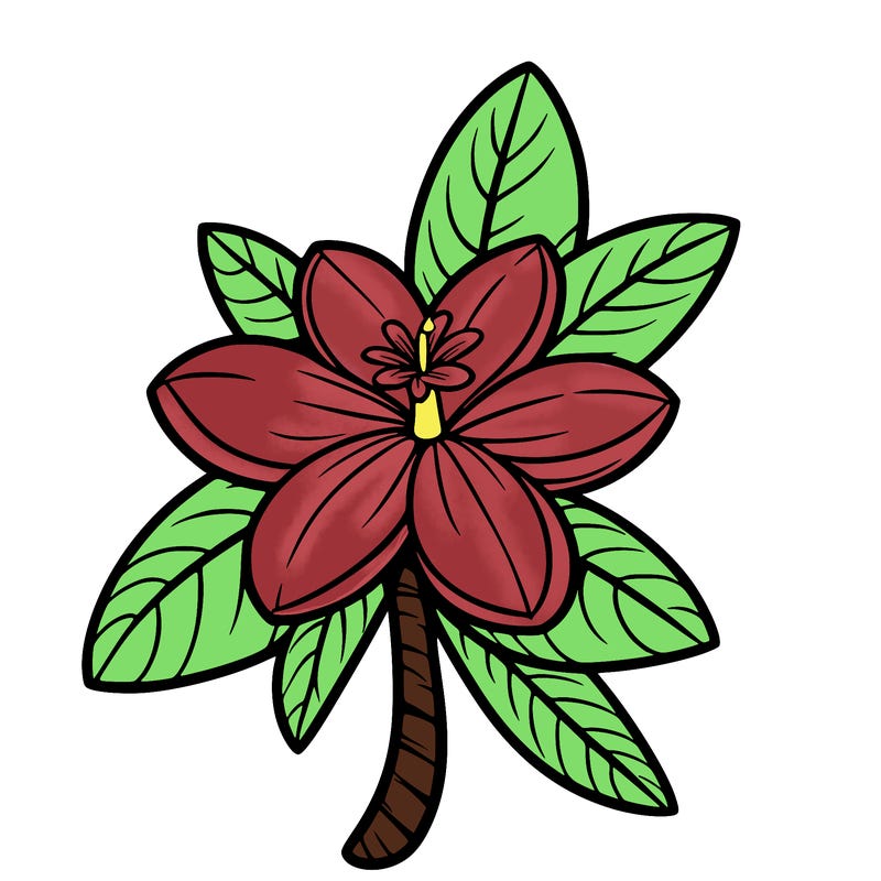 islander flower