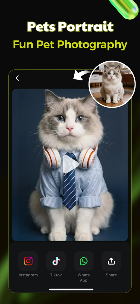 PixLike: Photo & Video Editor - Interface do aplicativo PixLike exibindo fotografia de retrato de animal de estimação com IA, com um gato usando camisa e gravata.