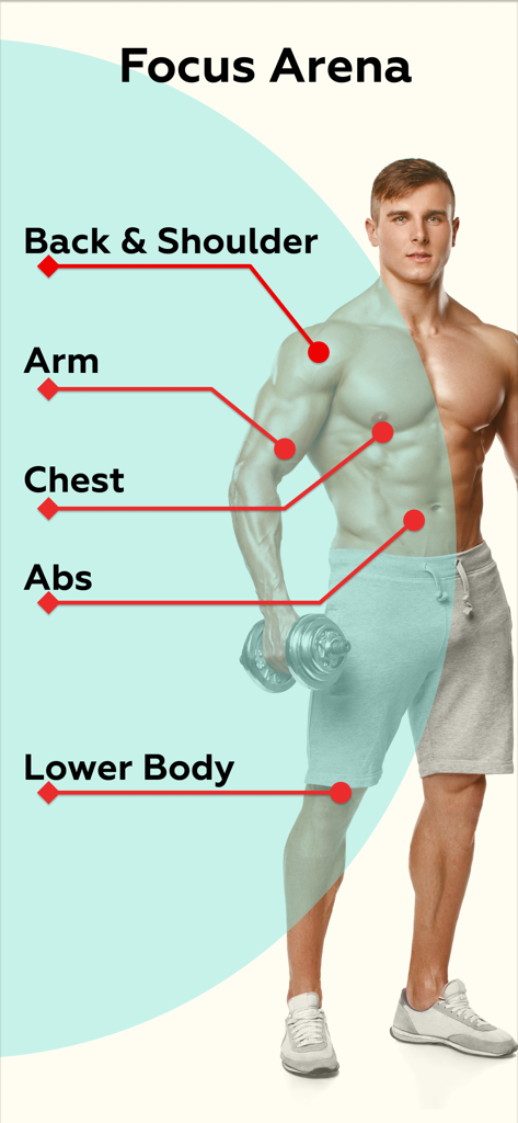 Home Workout - Fit At Home - Diagramme mettant en évidence les zones cibles du corps comme la poitrine, les abdominaux et les bras dans l'application Home Workout