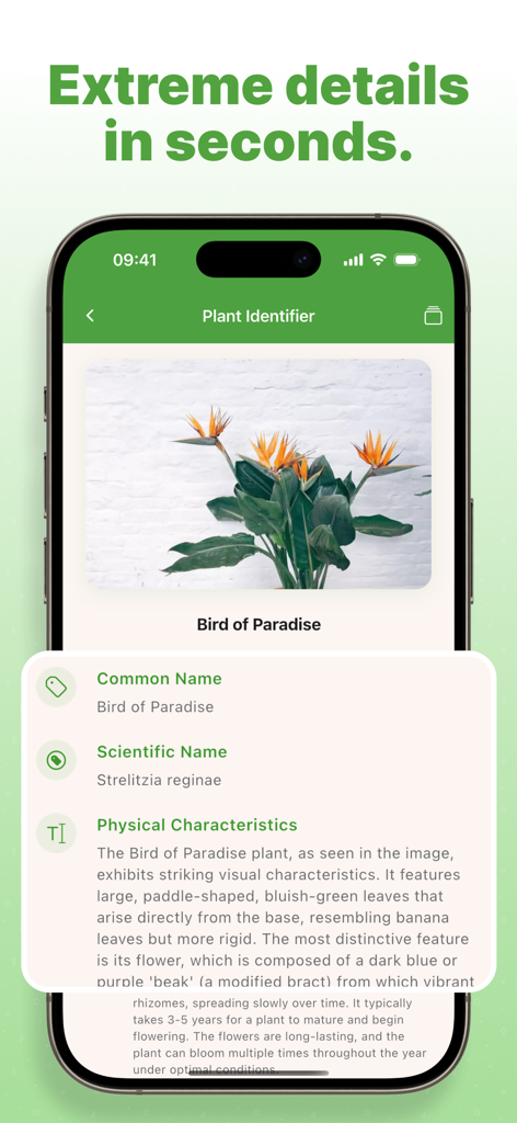 Plant AI App-Oberfläche, die den wissenschaftlichen Namen und die physikalischen Eigenschaften einer Paradiesvogelblume anzeigt