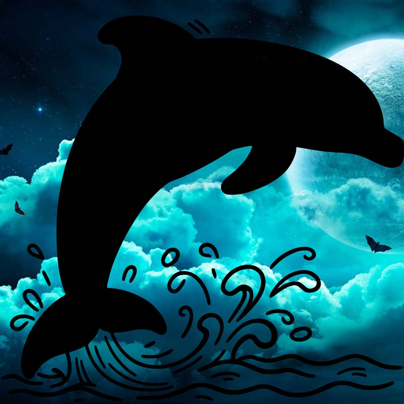 dolphin