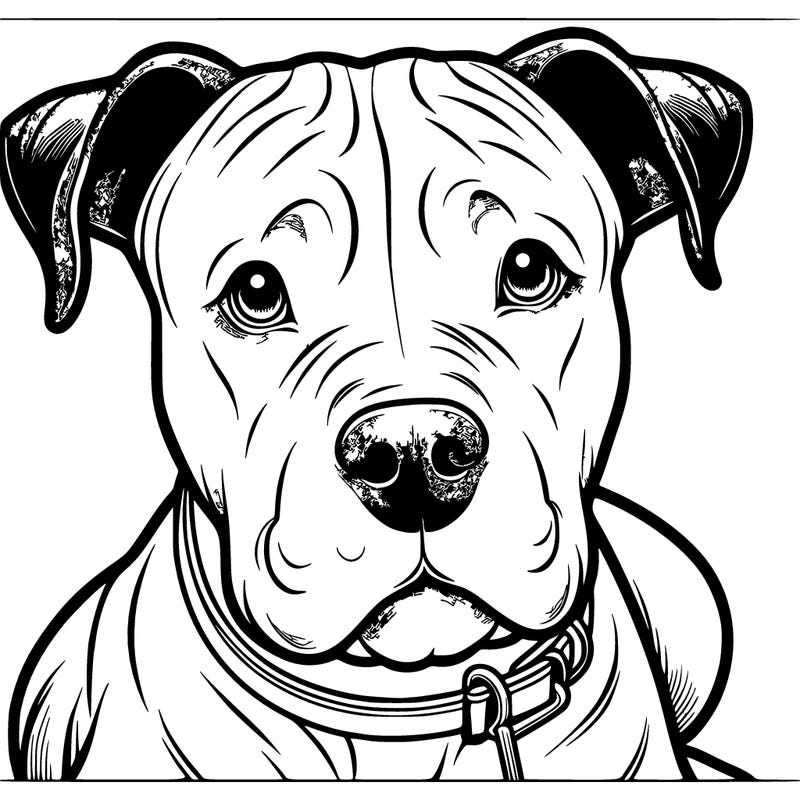 pitbull