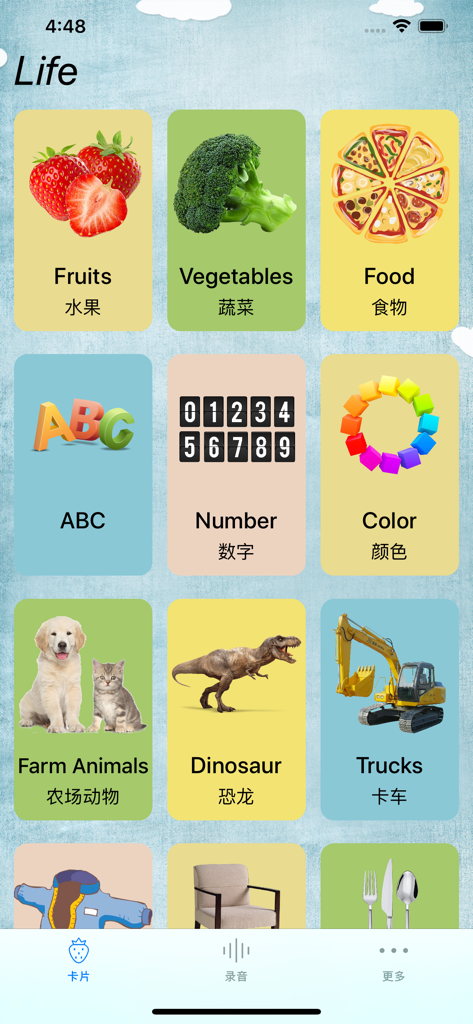 Bilingual English and Chinese vocabulary flashcard categories for kids showing realistic images and text