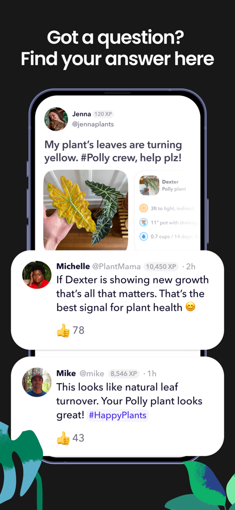 Greg: Plant Identifier & Care - Gregアプリのコミュニティトラブルシューティング機能のスクリーンショット。プラントペアレントが質問し、他のユーザーからアドバイスを受けている。