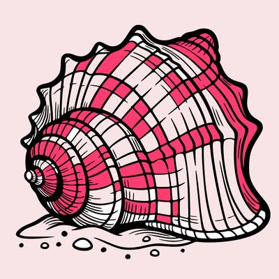 sea shell