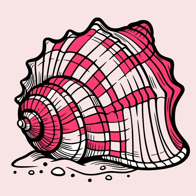 sea shell