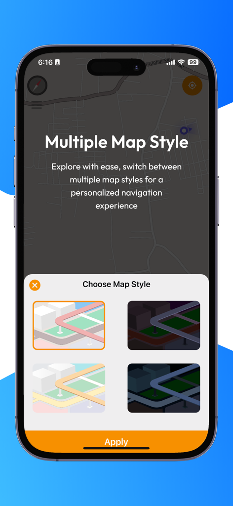 Interface showing multiple map style options for personalized navigation