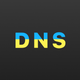 DNS Client