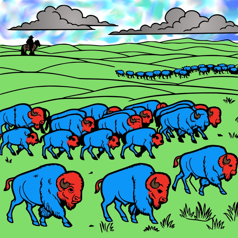 buffalo herd crossing the plains.
