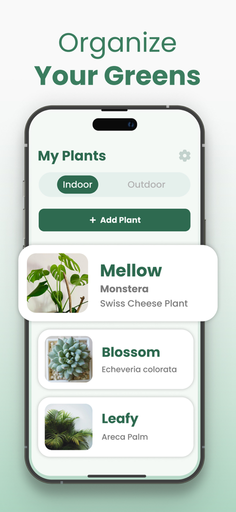 Plantify app screen showing a list of indoor plants in the My Plants collection section