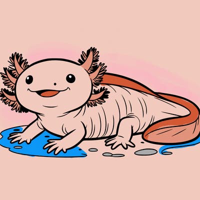 axolotl