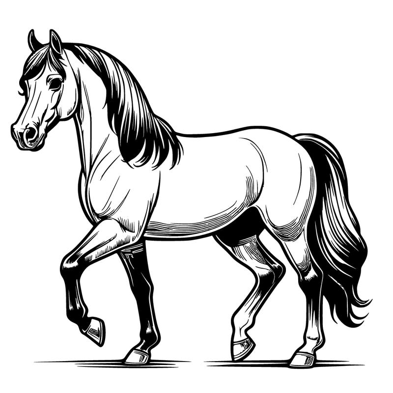 realistic arabian horse
