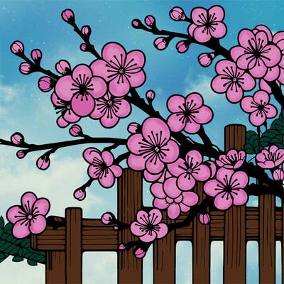 japan cherry blossom