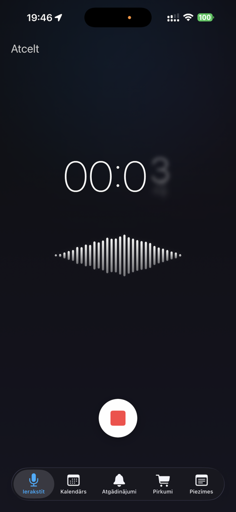 Echo Time Voice Assistant - Echo Time app interface showing a voice recording in progress with a waveform visualization and timer