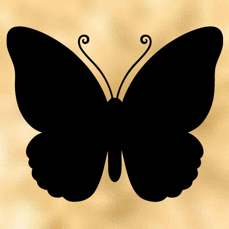 butterfly