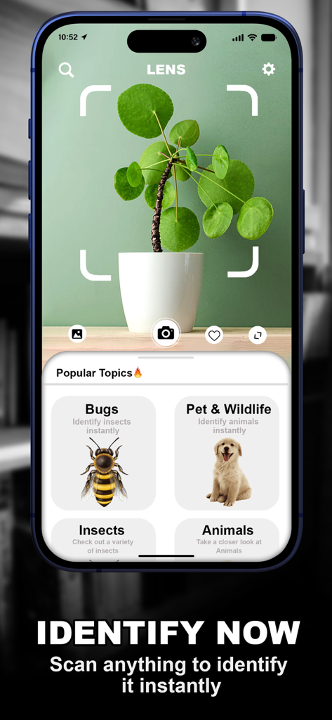 Lens: AI Scan Image & Text - Mobile screen of Lens AI app scanning a plant and showing identification categories