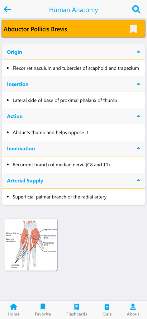 Mobile app screen showing origin insertion action and innervation for the Abductor Pollicis Brevis muscle