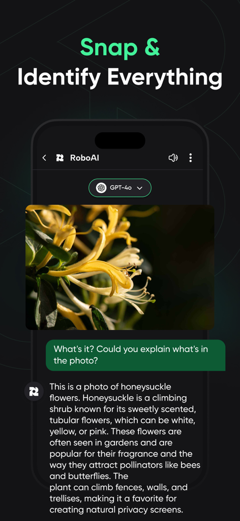 RoboAI - Chat & Ask AI Chatbot - RoboAI chatbot identifying honeysuckle flowers using GPT-4o photo recognition feature