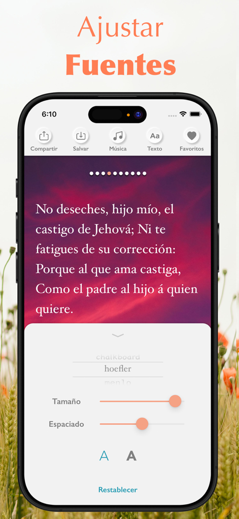 Santa Biblia Reina Valera 1960 - Pantalla de la aplicación Santa Biblia mostrando ajustes de tamaño y estilo de fuente