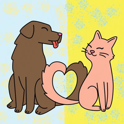 animals_22