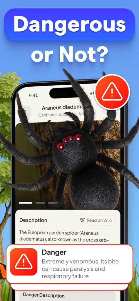 Identifier - Insect IQ - Mobile app screen showing the Insect IQ danger assessment feature with a spider identification and a red warning message.