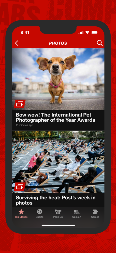 New York Post for iPhone - New York Post app photos section featuring a pet photography award story and local news images.
