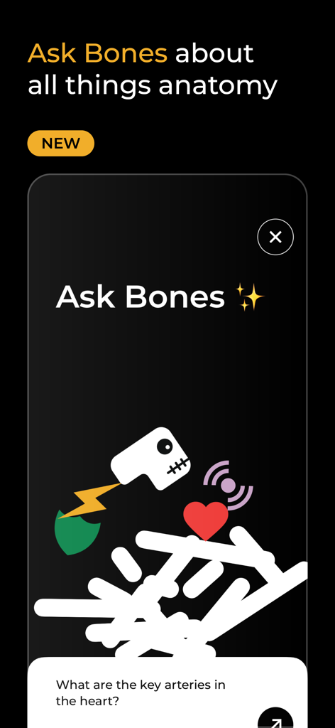 Interface de l'assistant IA 'Demandez aux Os' dans l'application d'anatomie Body Map montrant une question sur les artères cardiaques