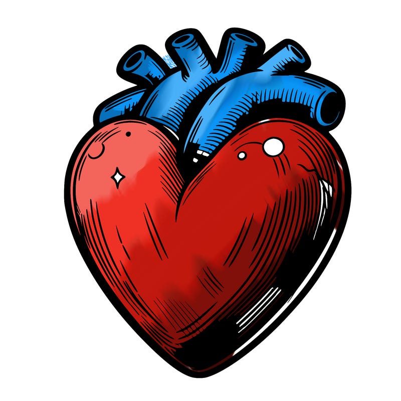 realistic heart