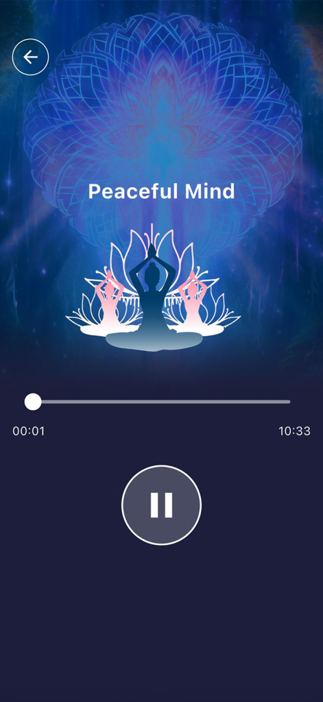 Meditation player interface titled Peaceful Mind in the Tai Chi Workout app