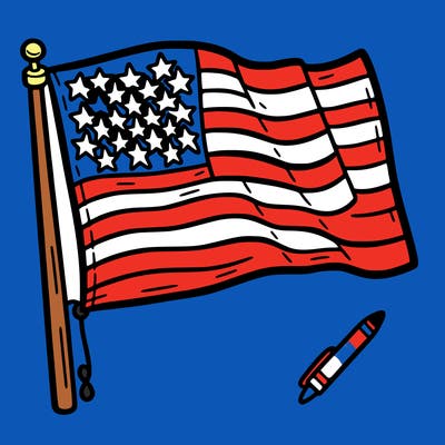 the united states flag