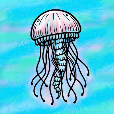 jellyfish