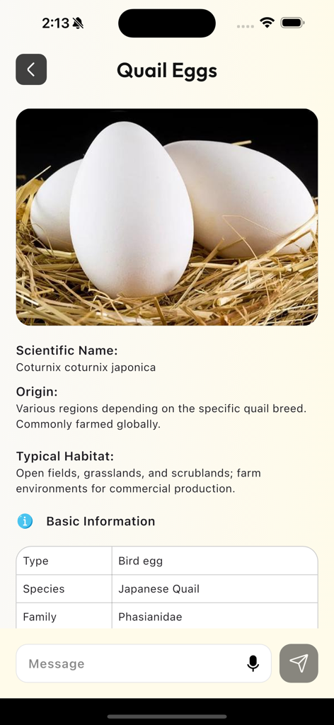 AI Bird Egg Identifier - Informationsbildschirm für japanische Wachteleier mit wissenschaftlichem Namen und Lebensraumdetails