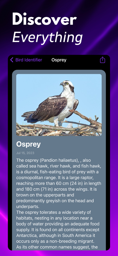 Una página detallada de enciclopedia para un Osprey en la aplicación Bird ID con una foto y descripción de la especie.