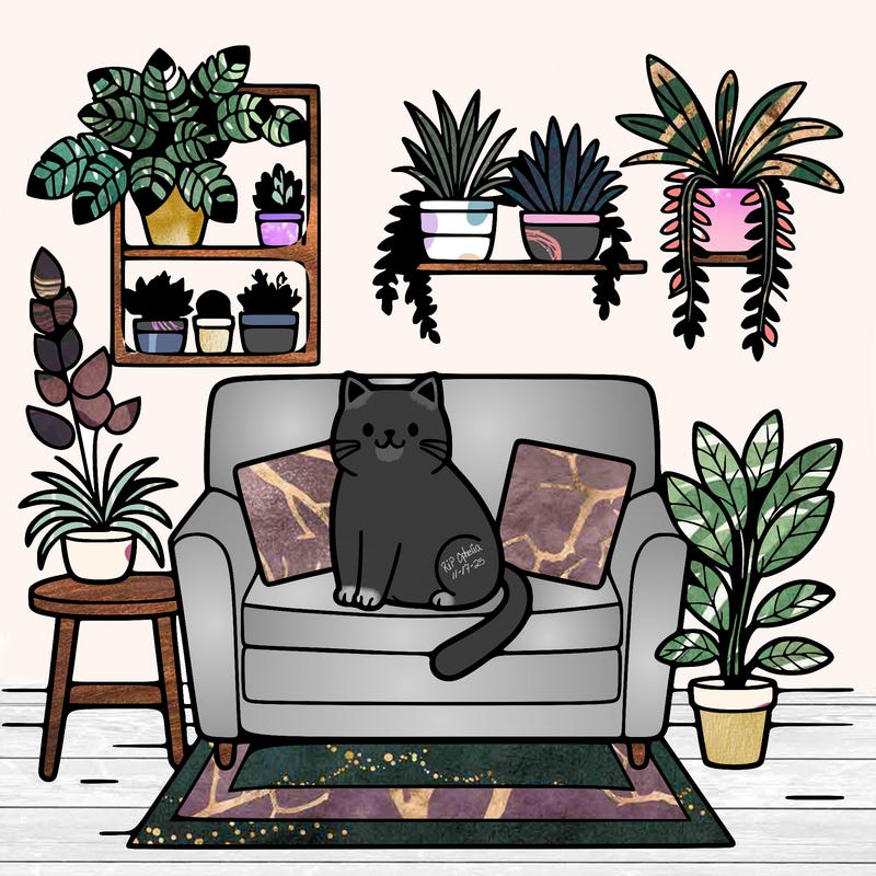 cat on a sofa in a room full of plants