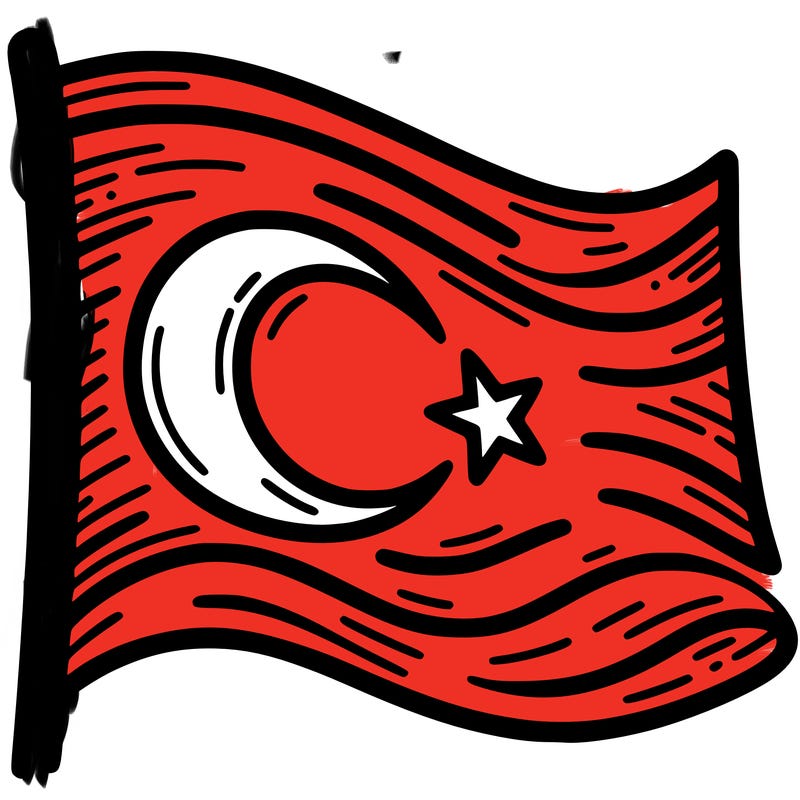 turkish bayraiği