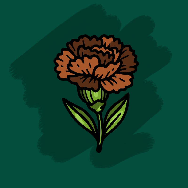 line art, beautiful carnation, simple, easy to color, thick line, no shades