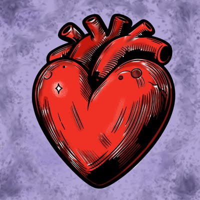 realistic heart