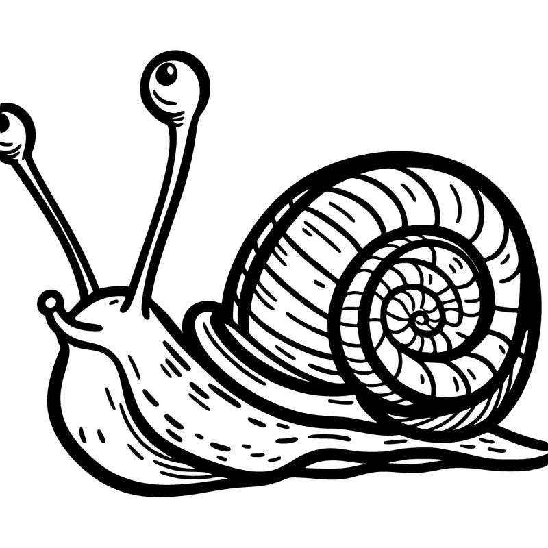 snail