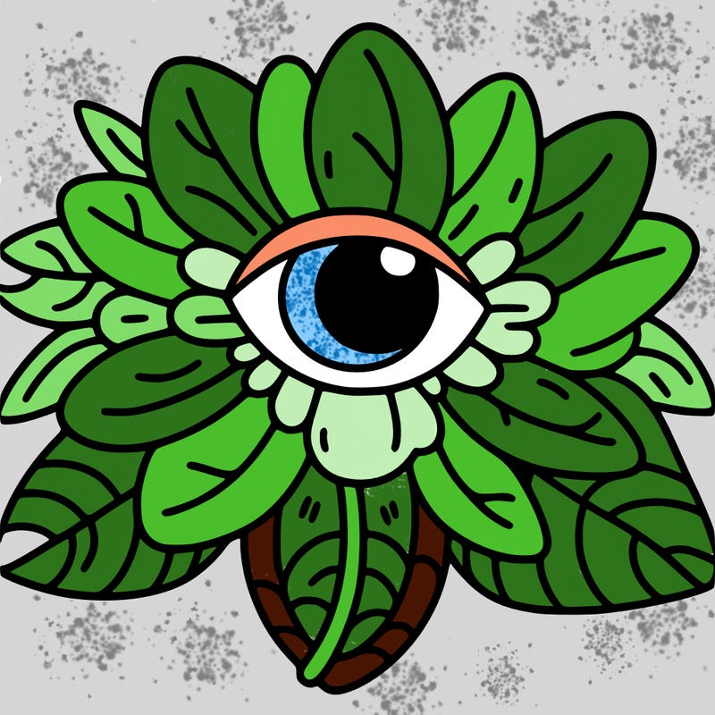 flower with eye