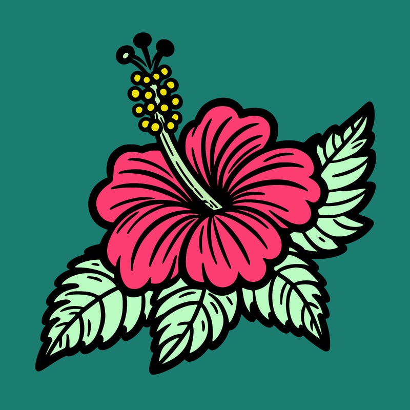 hibiscus flower