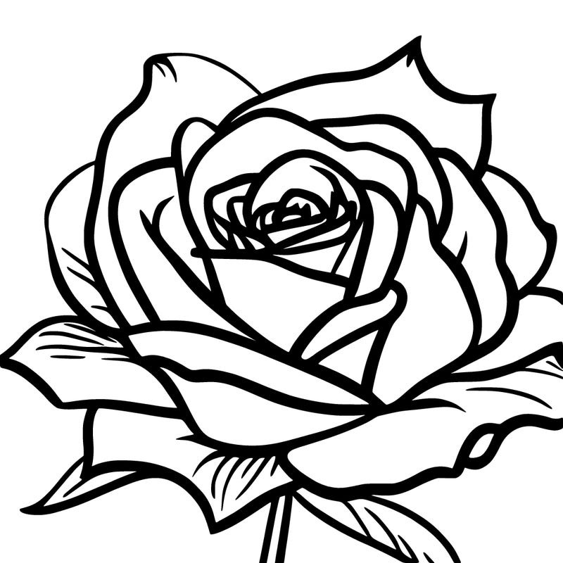 roses