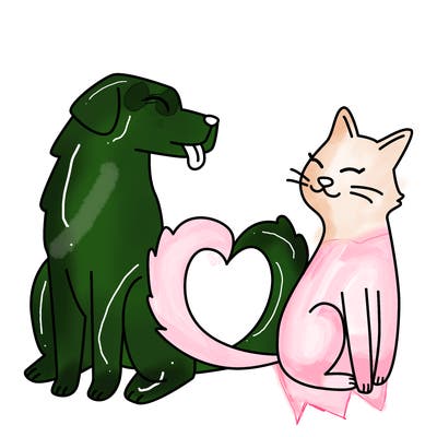 animals_22
