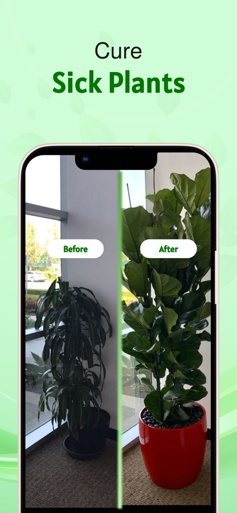 Plant Identifier &Disease Care - Una comparación lado a lado que muestra una planta enferma y caída y una planta sana y próspera después del tratamiento.