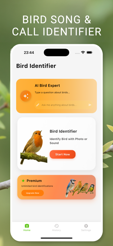 Pantalla de inicio de la aplicación Identificador de Aves con chat de IA experto en aves y opciones de identificación por foto y sonido