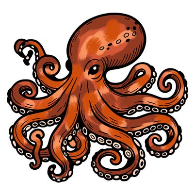 octopus
