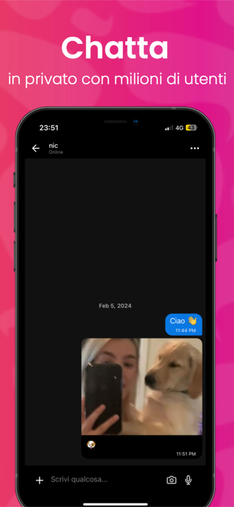 insegreto - Un écran de téléphone portable montrant une interface de chat privé dans l'application insegreto avec un message photo d'une femme et de son chien