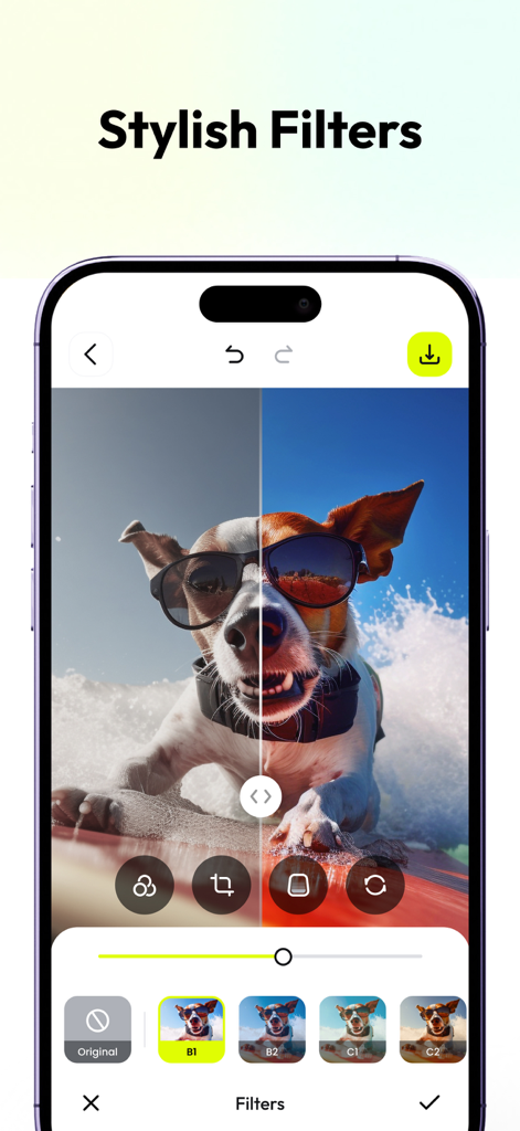 AnyEraser: Remove Objects AI - Interfaz de la aplicación AnyEraser que muestra una comparación de antes y después de una foto de perro usando filtros con estilo