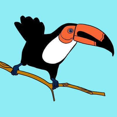 animals_48